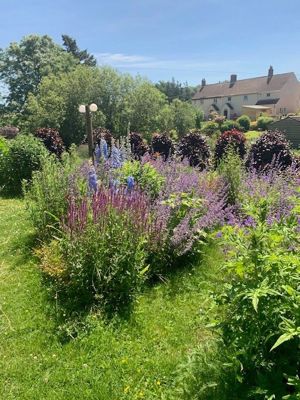 Garden in summer- click for photo gallery